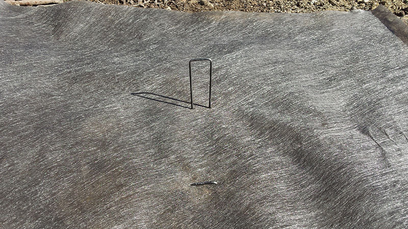 20 year fabric with staples